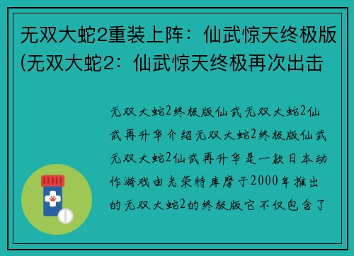 无双大蛇2重装上阵：仙武惊天终极版(无双大蛇2：仙武惊天终极再次出击)